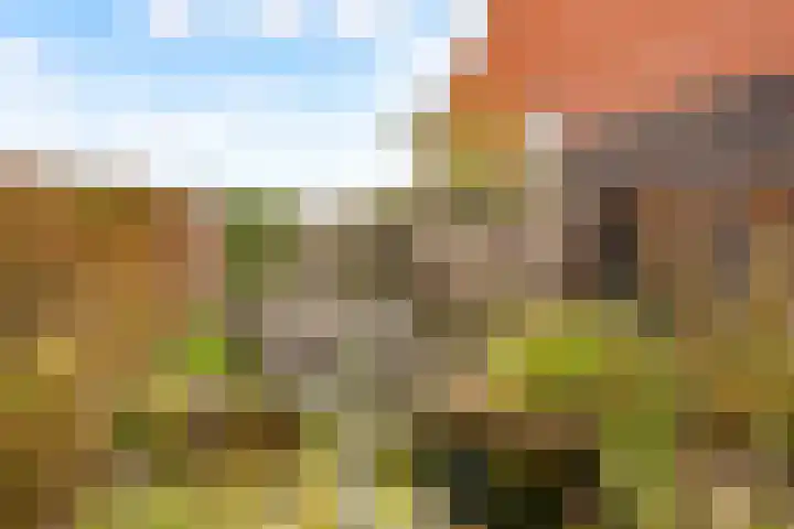 Veldkersvliet 7 Utrecht thumbnail 25
