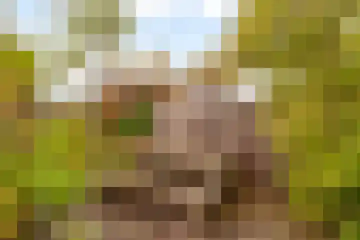 Veldkersvliet 7 Utrecht thumbnail 26