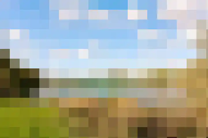 Veldkersvliet 7 Utrecht thumbnail 50