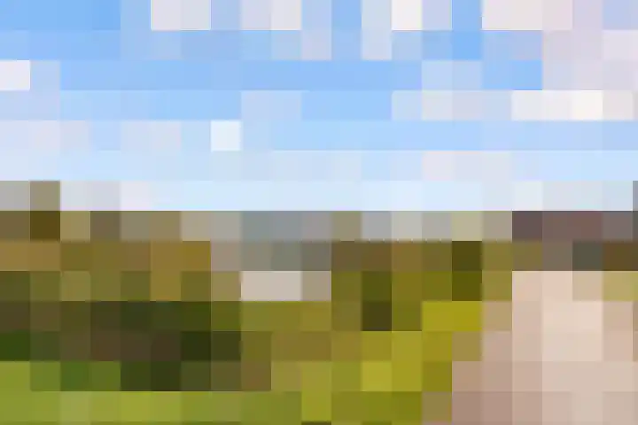 Veldkersvliet 7 Utrecht thumbnail 52