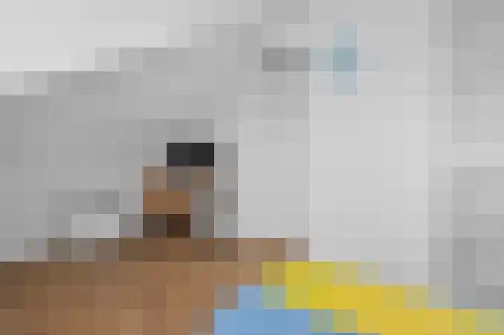 Veldkrekel 3 Eerbeek thumbnail 23