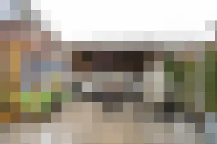Veldkrekel 3 Eerbeek thumbnail 26