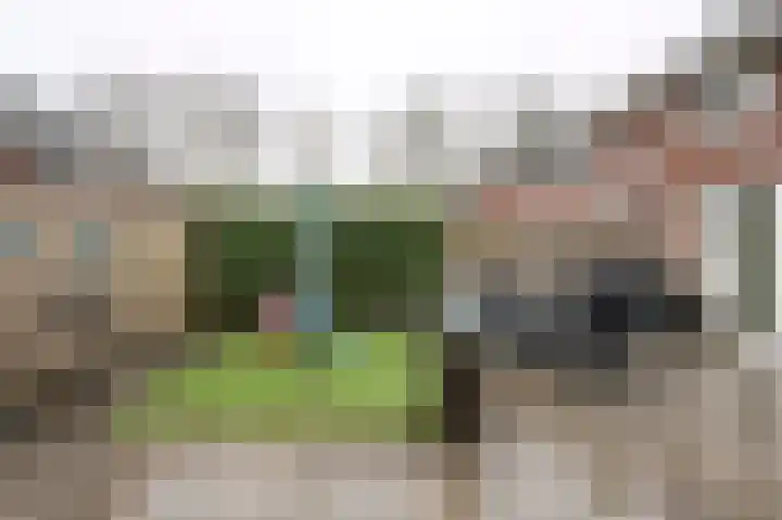 Veldkrekel 3 Eerbeek thumbnail 29