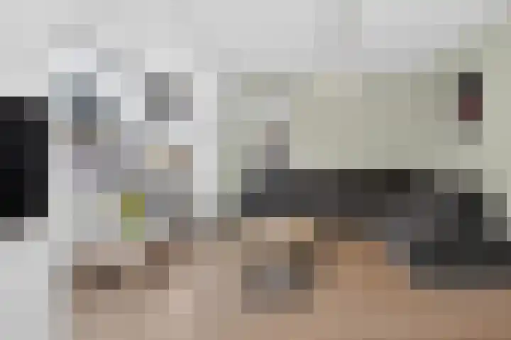 Veldkrekel 3 Eerbeek thumbnail 4