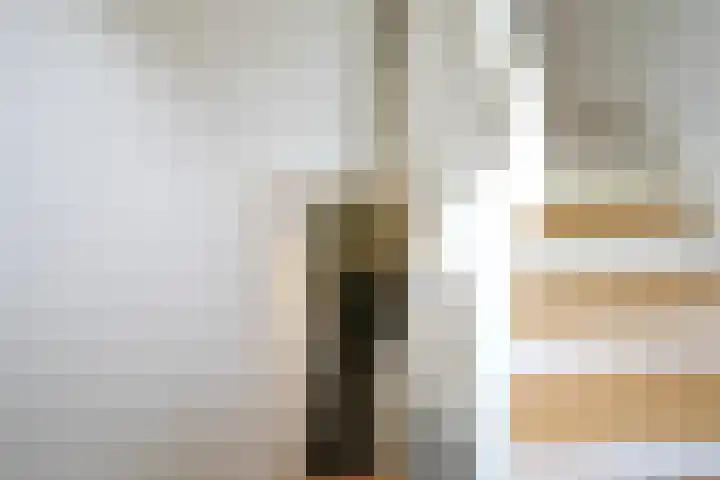 Veldkuilstraat 28 Kerkrade thumbnail 15