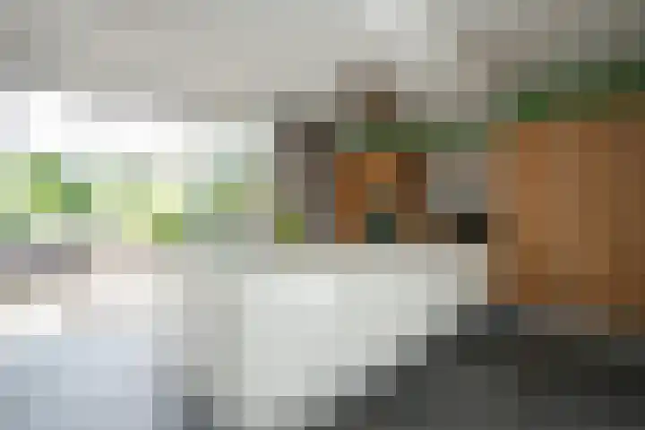 Veldkuilstraat 28 Kerkrade thumbnail 6