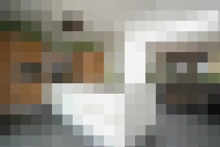 Veldkuilstraat 28 Kerkrade thumbnail 7