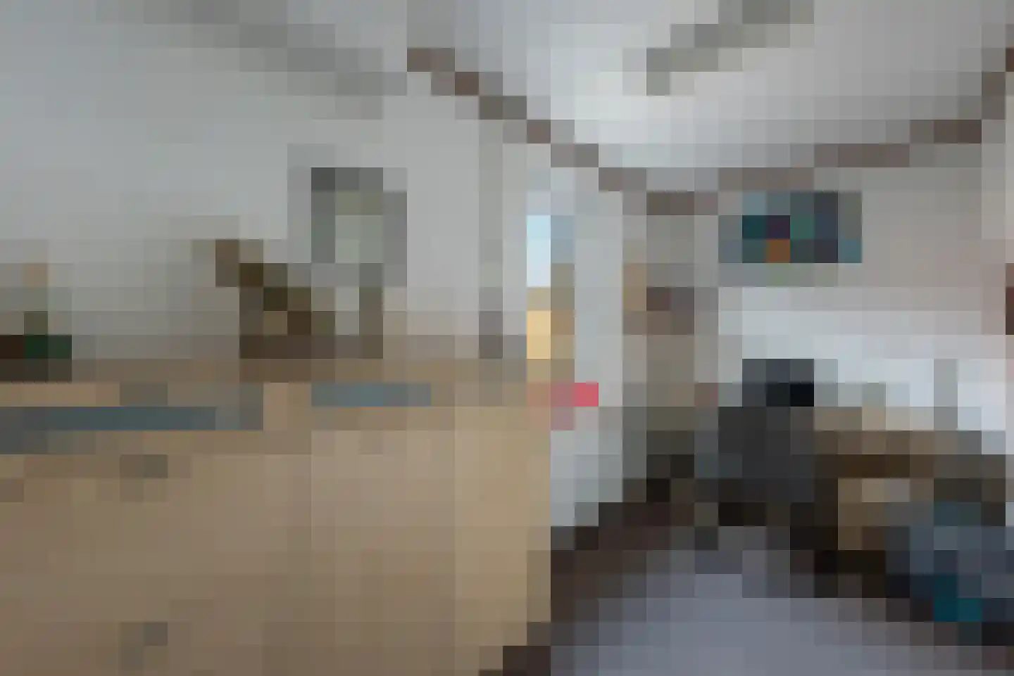 Veldkuilstraat 50 Kerkrade thumbnail 19