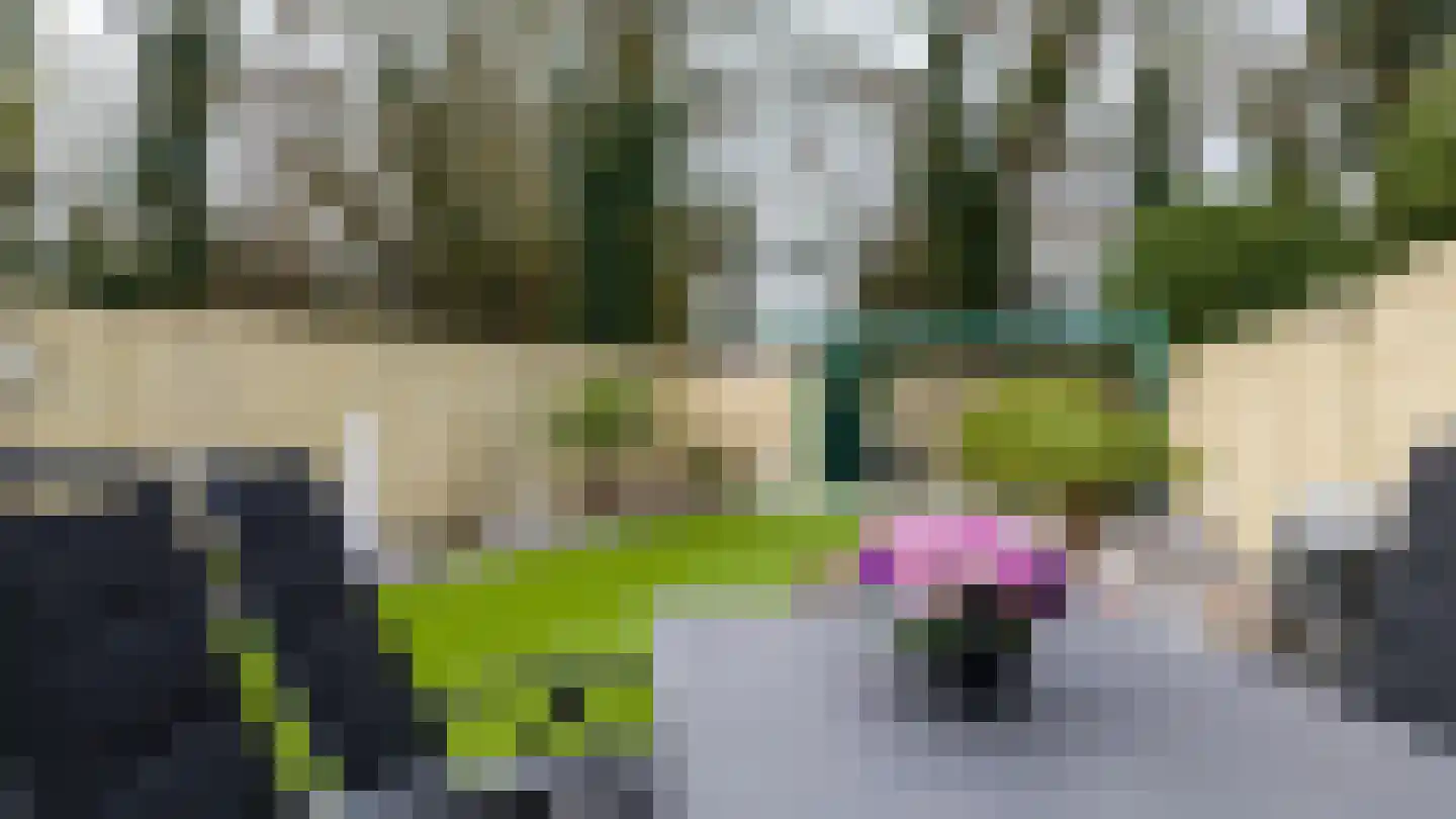 Veldkuilstraat 50 Kerkrade thumbnail 26