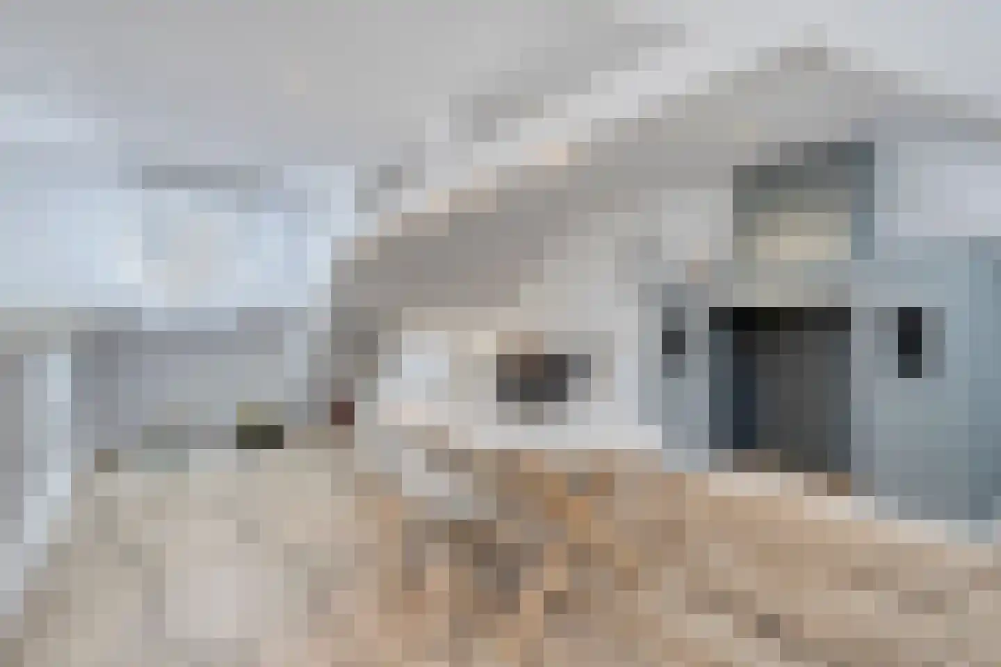 Veldkuilstraat 57 Kerkrade thumbnail 41