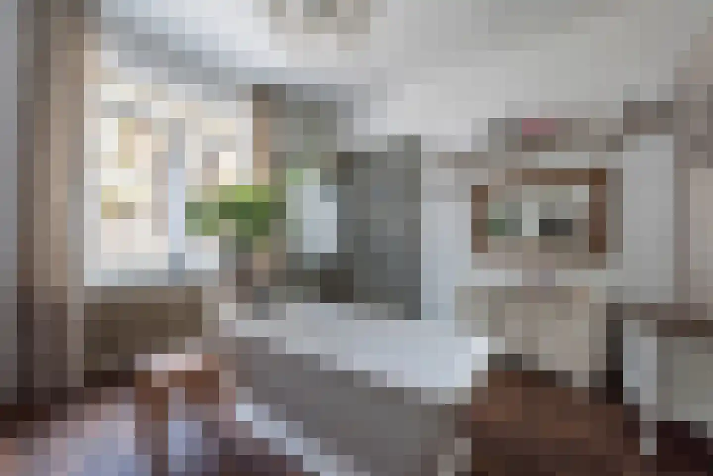 Veldkuilstraat 6 Kerkrade thumbnail 14