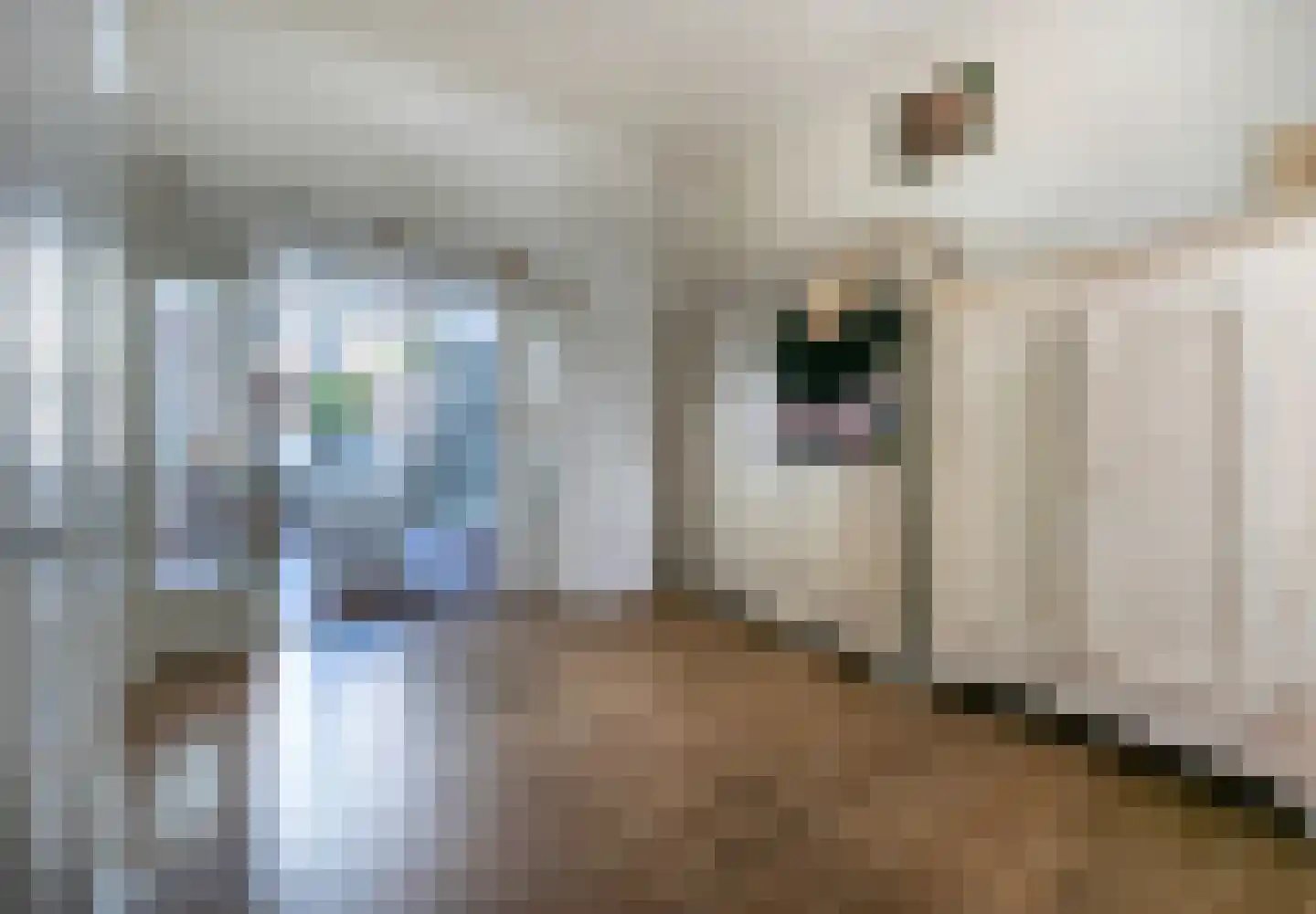 Veldkuilstraat 6 Kerkrade thumbnail 17