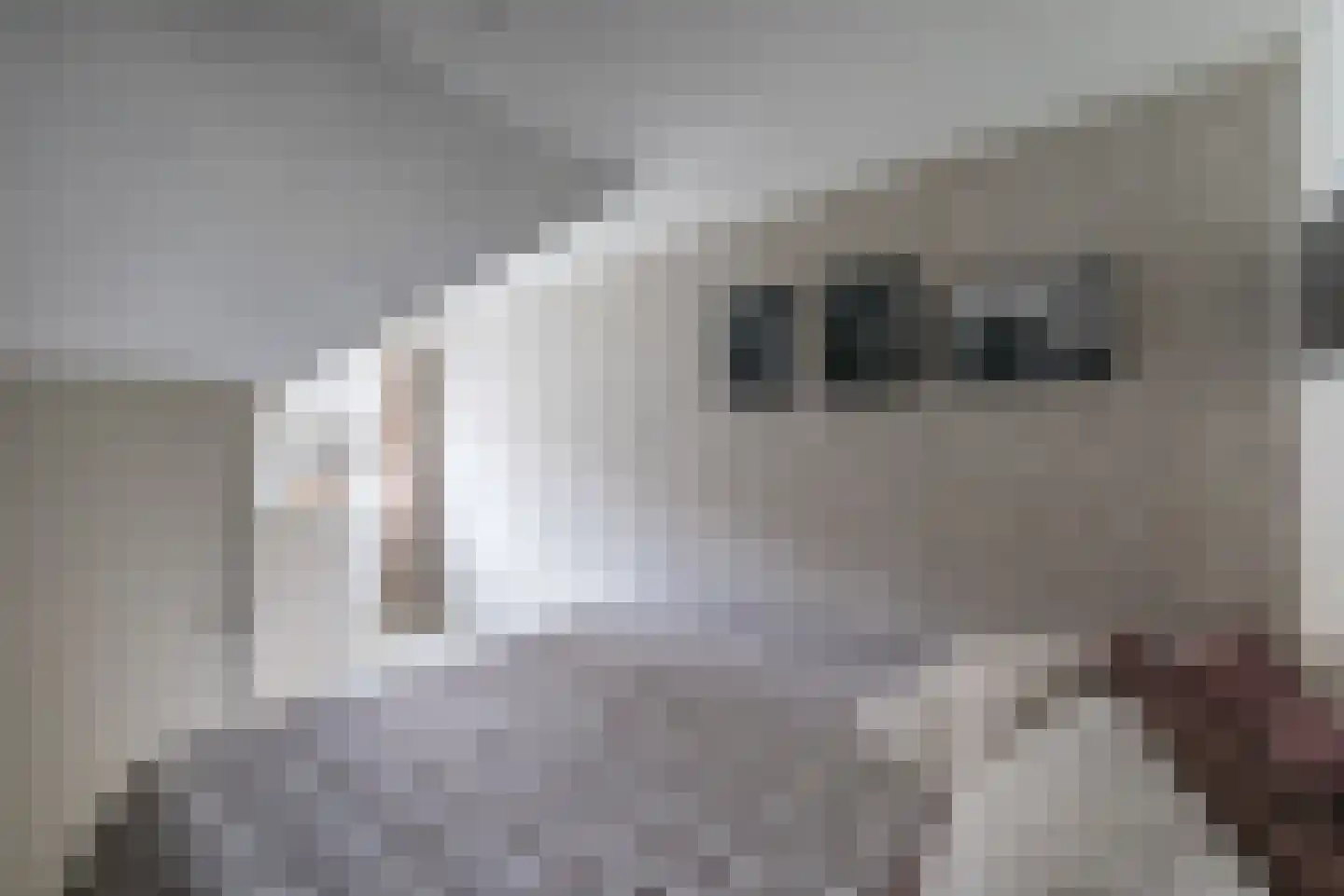 Veldkuilstraat 6 Kerkrade thumbnail 31