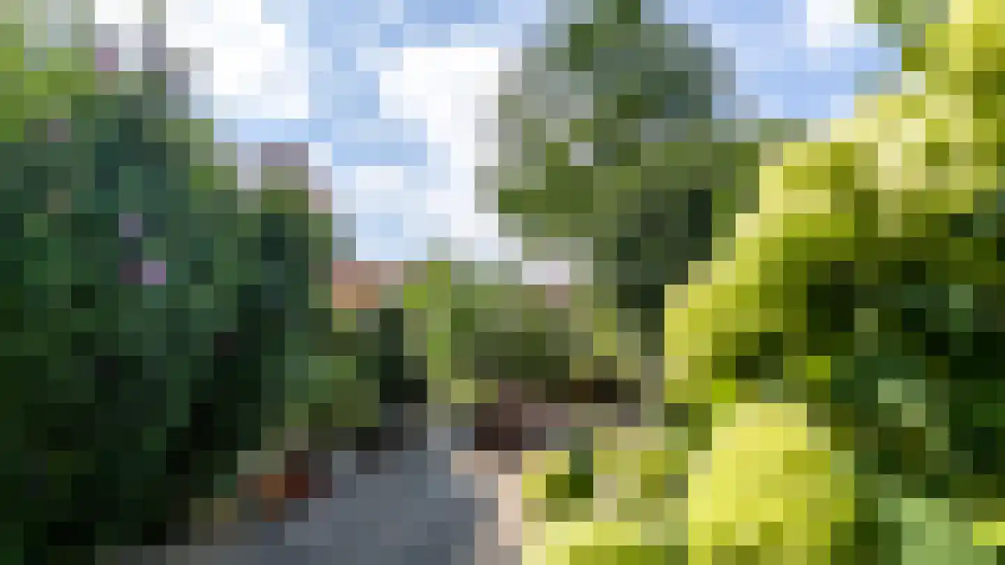 Veldkuilstraat 6 Kerkrade thumbnail 35