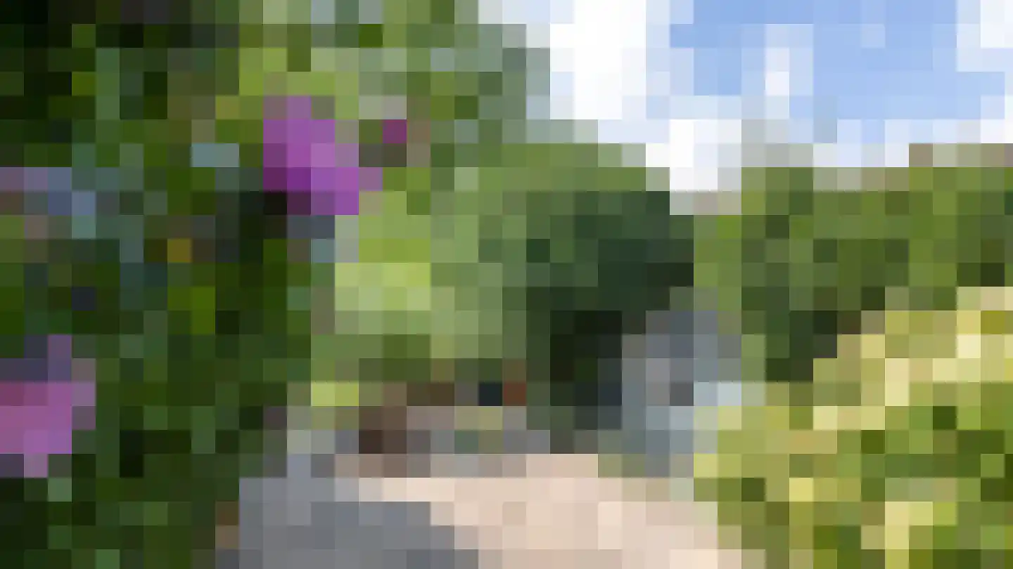 Veldkuilstraat 6 Kerkrade thumbnail 36