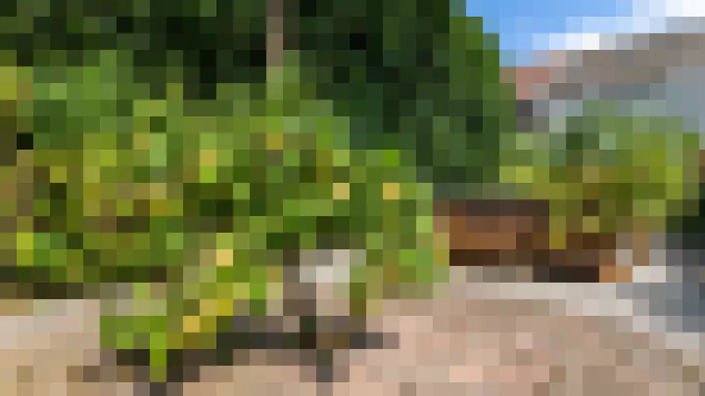 Veldkuilstraat 6 Kerkrade thumbnail 39