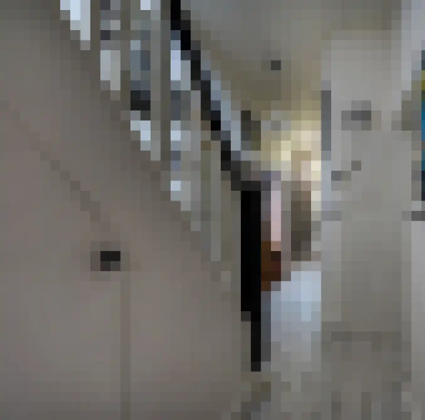 Veldkuilstraat 6 Kerkrade thumbnail 5