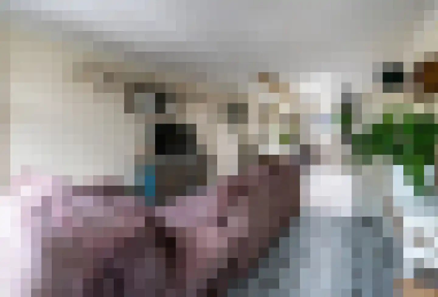 Veldkuilstraat 6 Kerkrade thumbnail 7