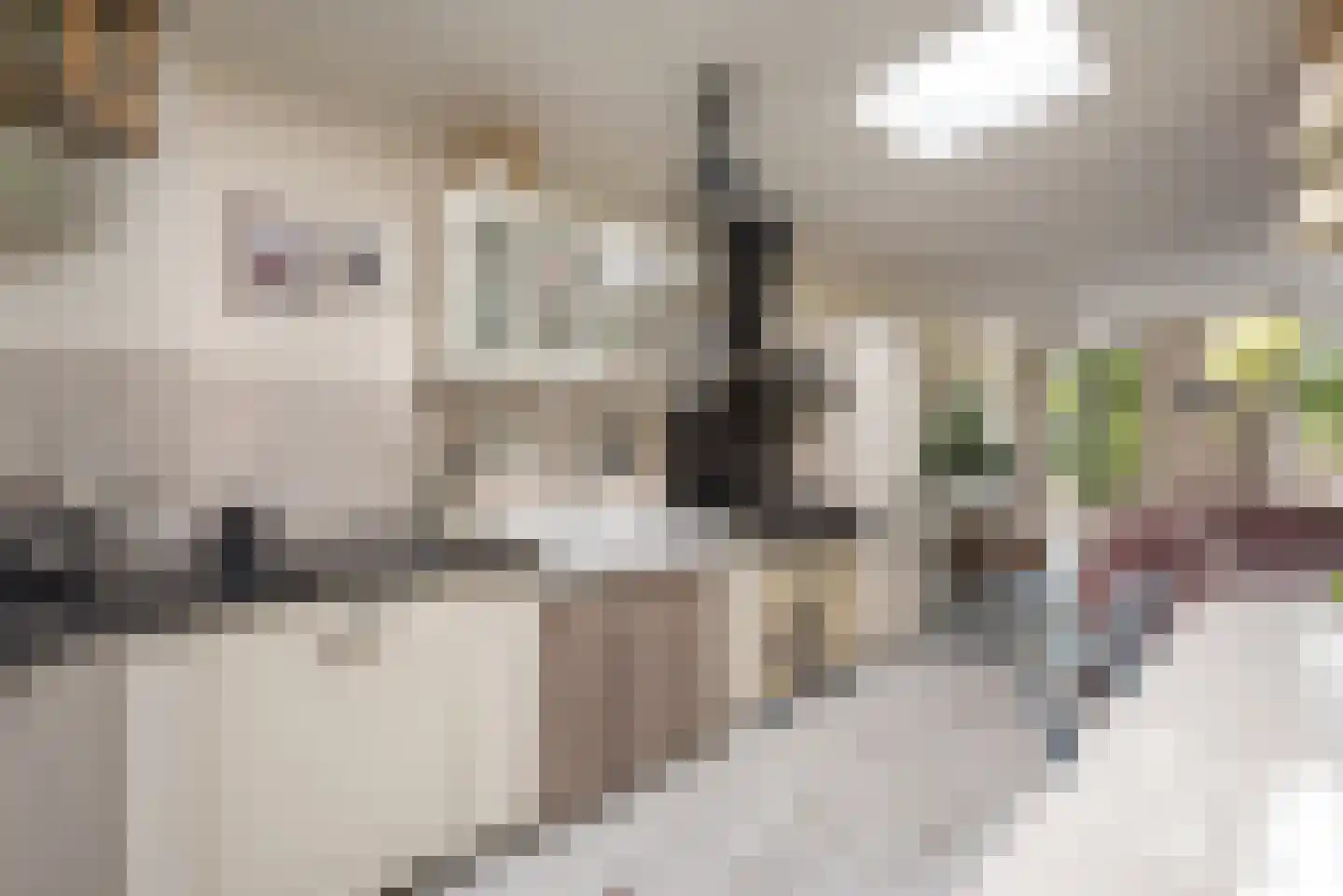 Veldkuilstraat 6 Kerkrade thumbnail 9