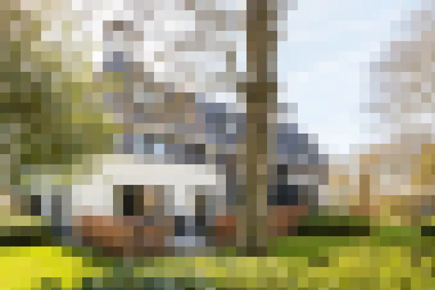 Veldlaan 1 C Groenekan