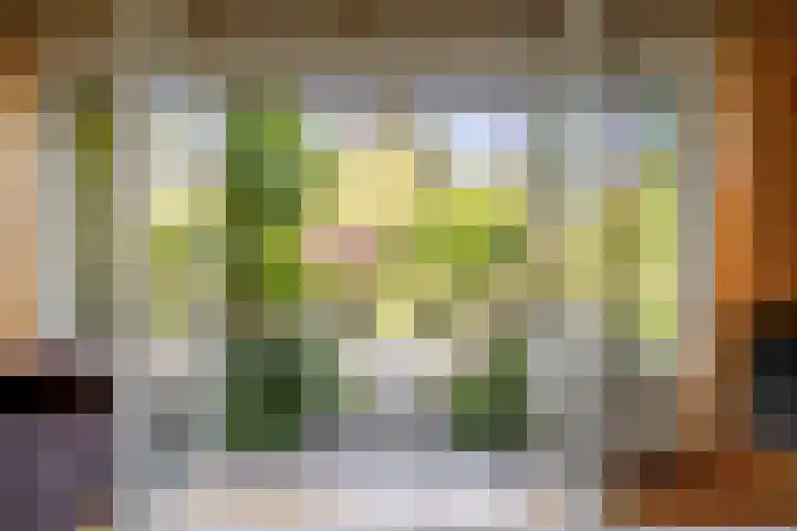 Veldlaan 14 Aerdenhout thumbnail 12