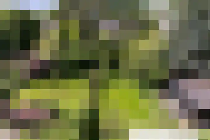 Veldlaan 14 Aerdenhout thumbnail 28