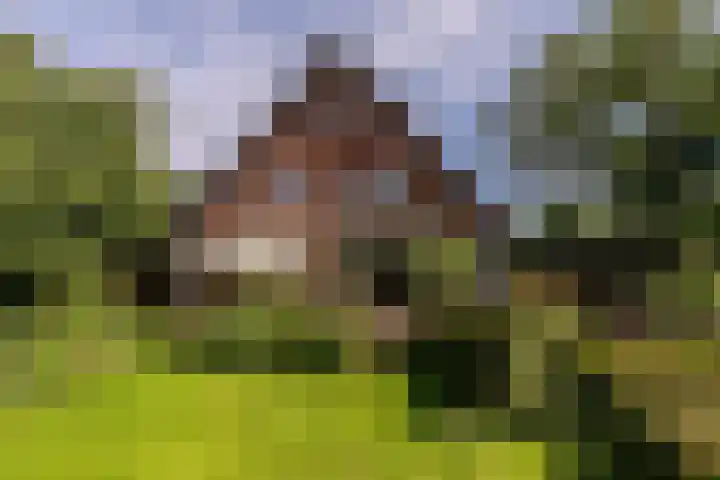 Veldlaan 14 Aerdenhout thumbnail 29