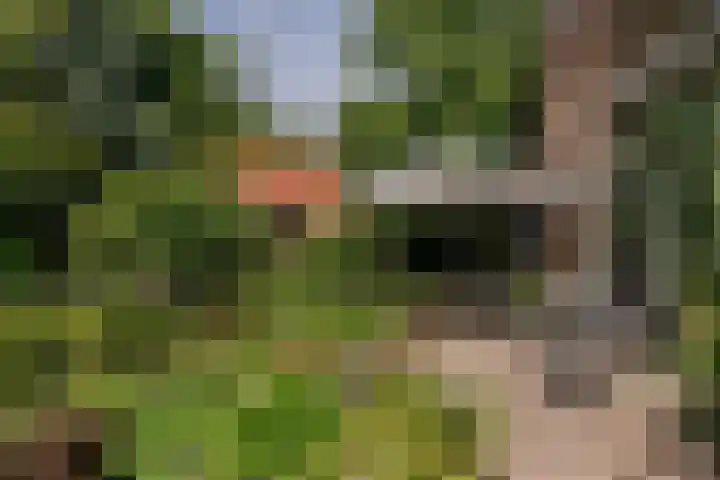 Veldlaan 14 Aerdenhout thumbnail 30