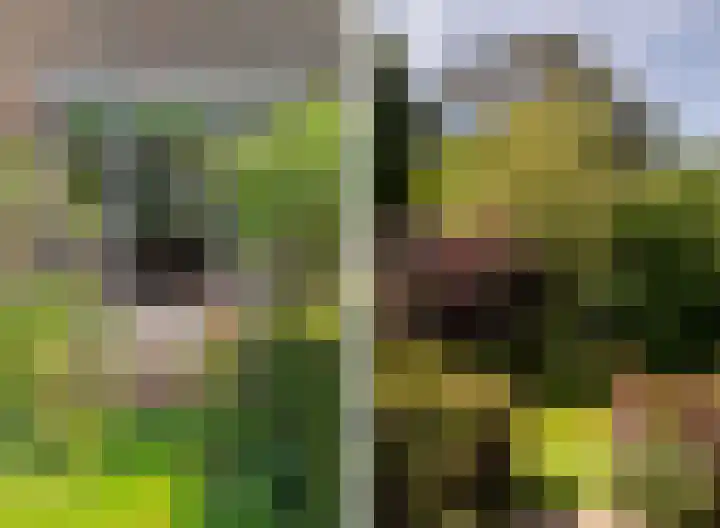 Veldlaan 14 Aerdenhout thumbnail 31