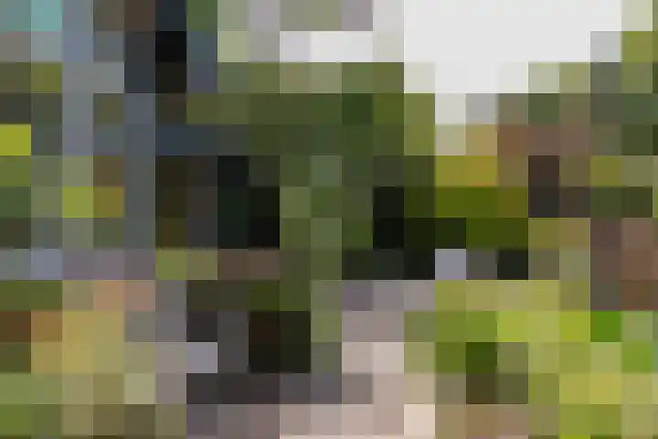 Veldlaan 14 Aerdenhout thumbnail 32