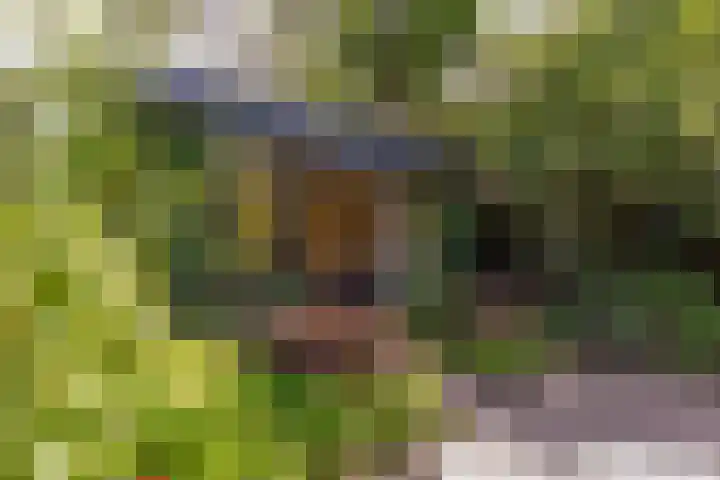 Veldlaan 14 Aerdenhout thumbnail 33