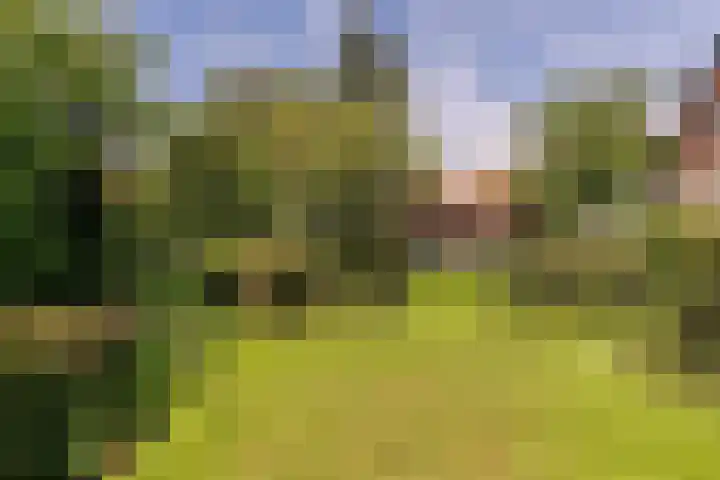 Veldlaan 14 Aerdenhout thumbnail 34