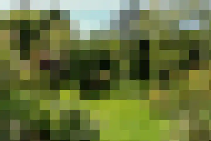 Veldlaan 14 Aerdenhout thumbnail 35