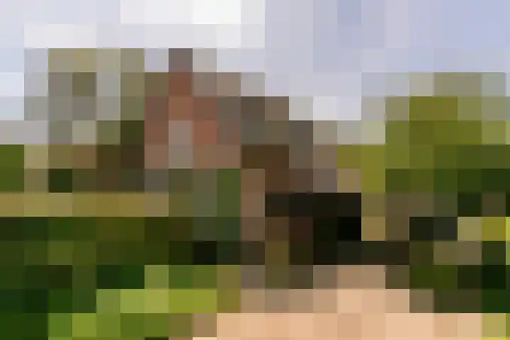 Veldlaan 14 Aerdenhout thumbnail 36