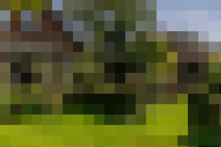 Veldlaan 14 Aerdenhout thumbnail 37