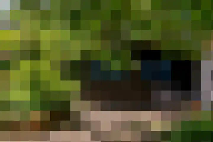 Veldlaan 14 Aerdenhout thumbnail 38