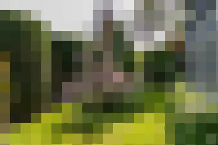 Veldlaan 14 Aerdenhout thumbnail 39