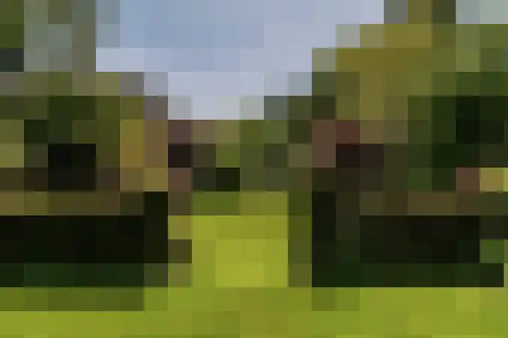 Veldlaan 14 Aerdenhout thumbnail 40