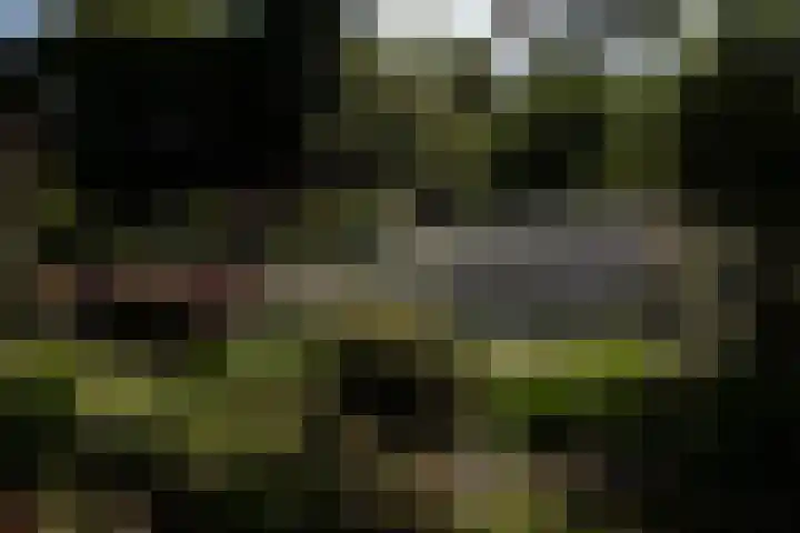 Veldlaan 14 Aerdenhout thumbnail 41