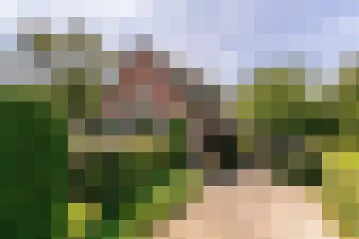 Veldlaan 14 Aerdenhout thumbnail 42
