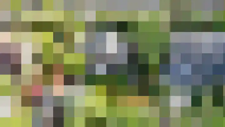 Veldlaan 14 Aerdenhout thumbnail 45