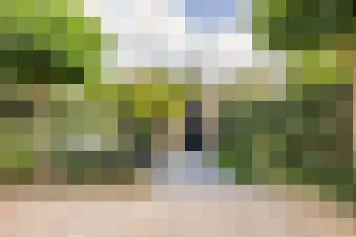 Veldlaan 15 Aerdenhout thumbnail 16