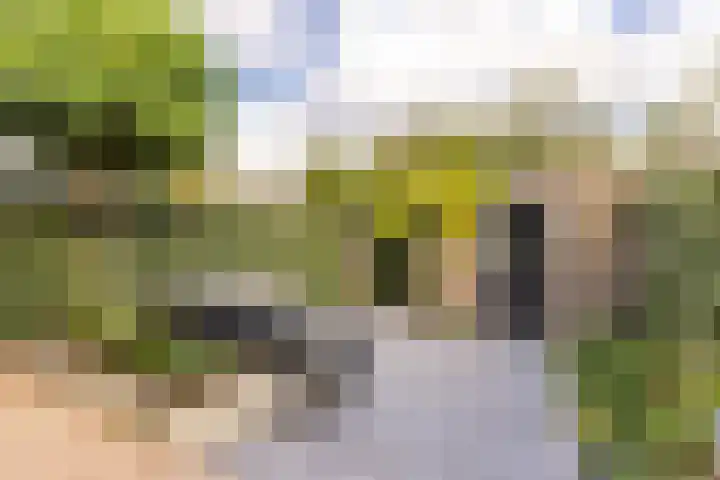 Veldlaan 15 Aerdenhout thumbnail 17