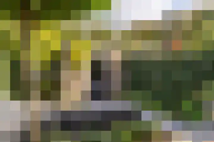 Veldlaan 15 Aerdenhout thumbnail 18