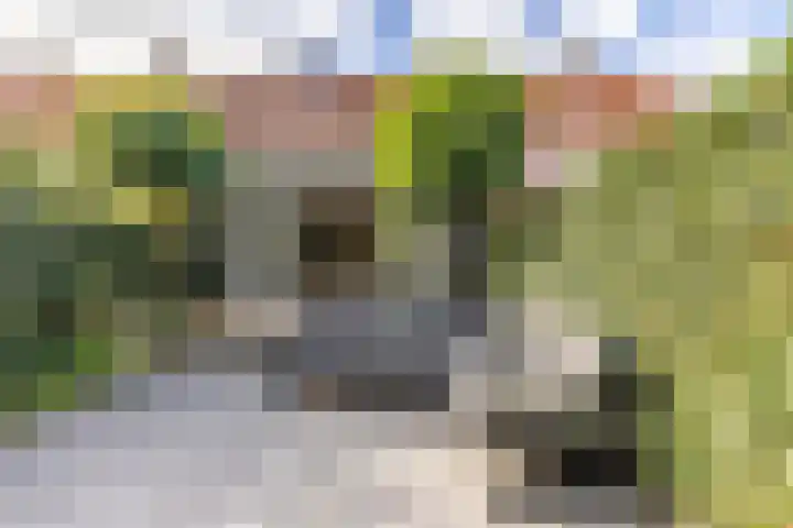 Veldlaan 15 Aerdenhout thumbnail 19