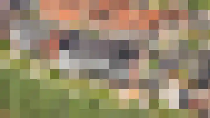 Veldlaan 19 Beneden-Leeuwen thumbnail 42