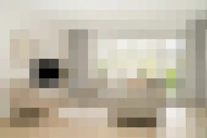 Veldlaan 19 Beneden-Leeuwen thumbnail 5