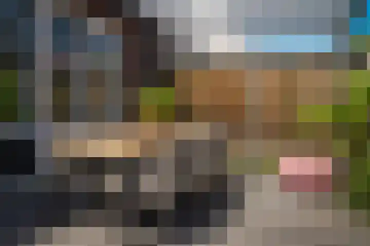 Veldlaan 21 Beneden-Leeuwen thumbnail 28