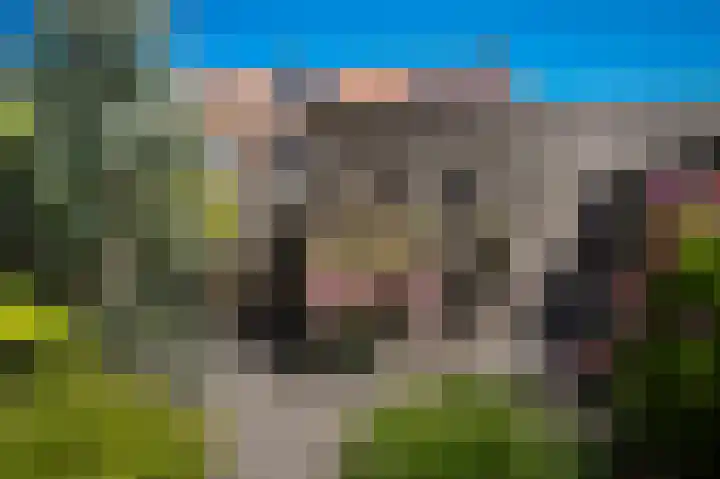 Veldlaan 21 Beneden-Leeuwen thumbnail 29
