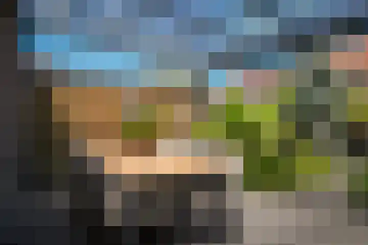 Veldlaan 21 Beneden-Leeuwen thumbnail 32